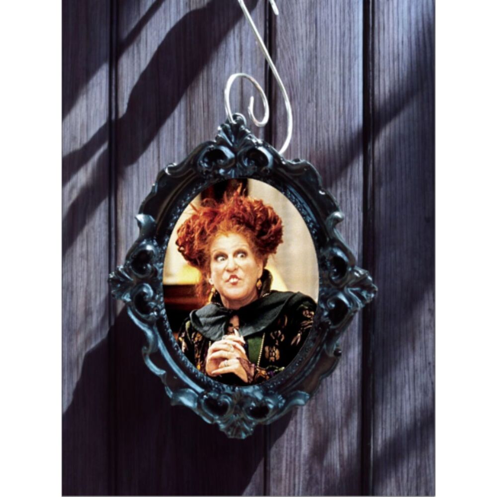 Winifred Ornament Hocus Pocus Sanderson Sister Spellbook Witchcraft Broom Book
